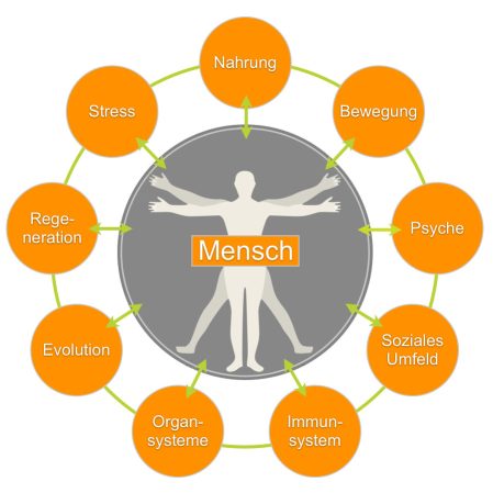 Die Wissenschaft der klinischen Psycho-Neuro-Immunologie